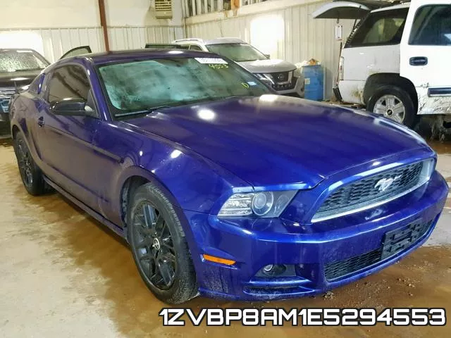 1ZVBP8AM1E5294553