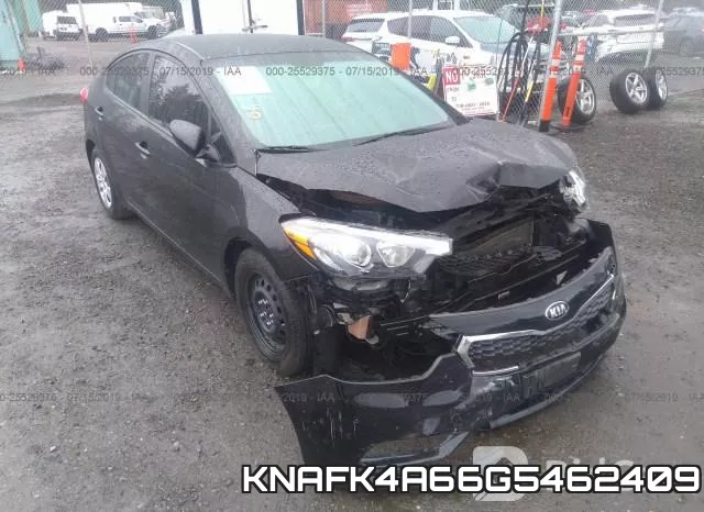 KNAFK4A66G5462409