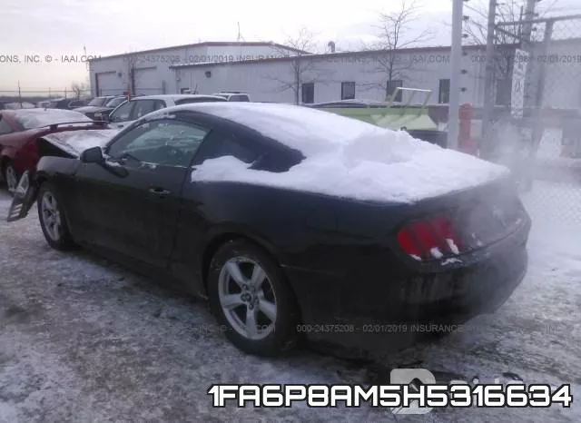 1FA6P8AM5H5316634_3.webp