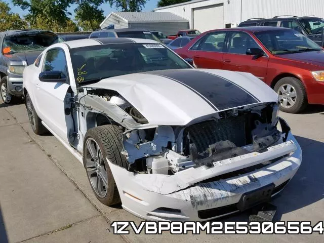 1ZVBP8AM2E5306564