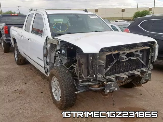 1GTR1MEC1GZ231865