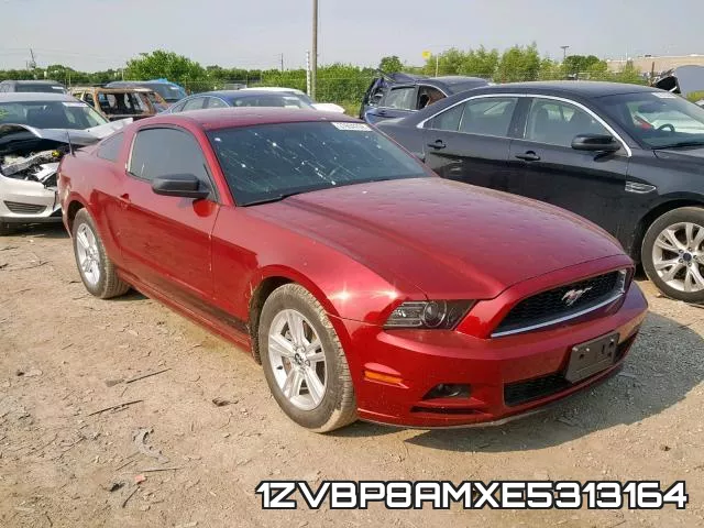 1ZVBP8AMXE5313164