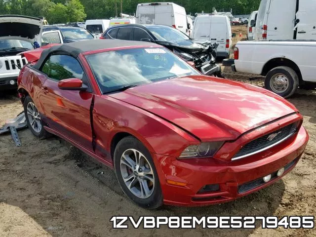 1ZVBP8EM9E5279485