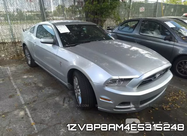 1ZVBP8AM4E5315248