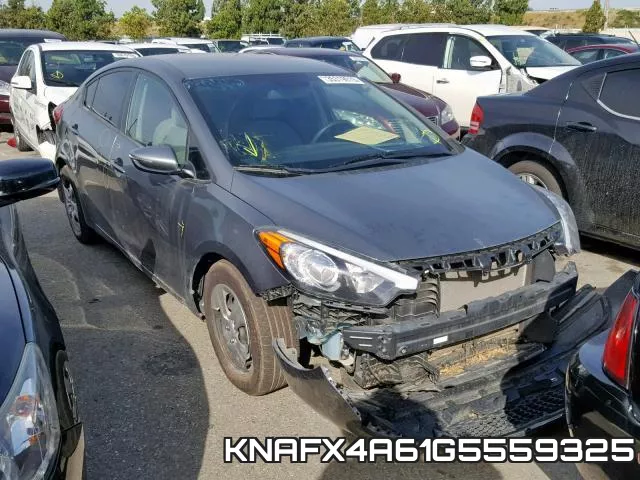 KNAFX4A61G5559325