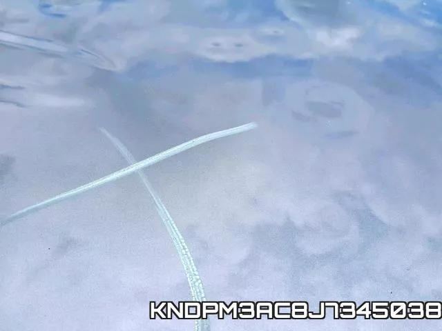 KNDPM3AC8J7345038_9.webp