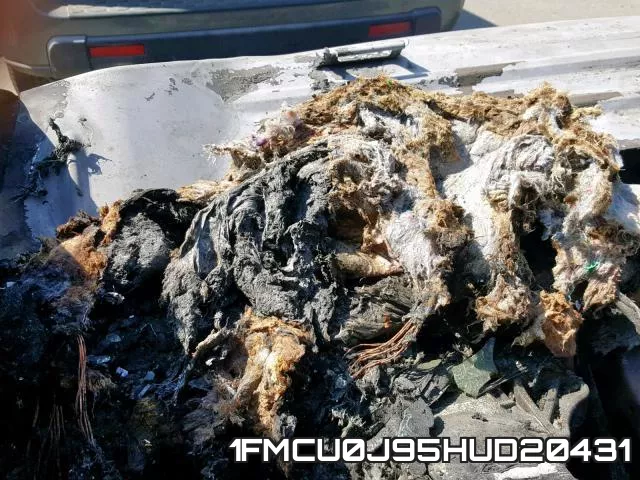 1FMCU0J95HUD20431_8.webp