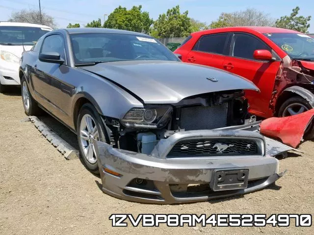 1ZVBP8AM4E5254970