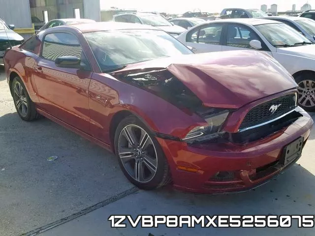 1ZVBP8AMXE5256075