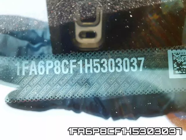 1FA6P8CF1H5303037_10.webp