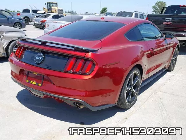 1FA6P8CF1H5303037_4.webp