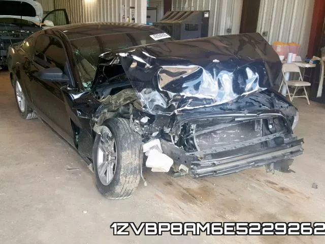 1ZVBP8AM6E5229262