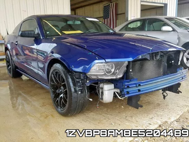 1ZVBP8AM8E5204489