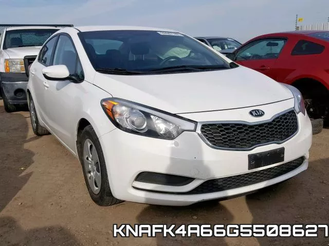 KNAFK4A66G5508627