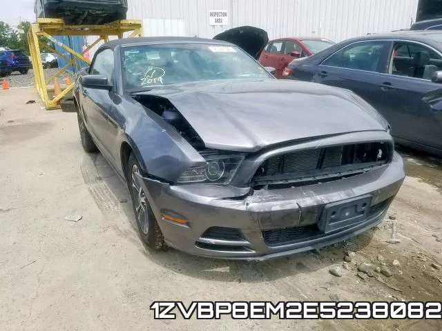 1ZVBP8EM2E5238082