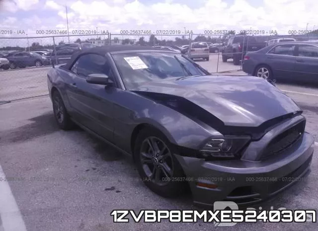 1ZVBP8EMXE5240307