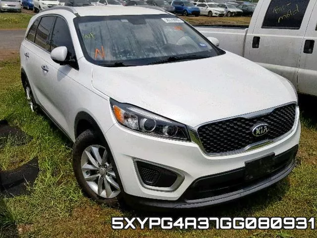 5XYPG4A37GG080931