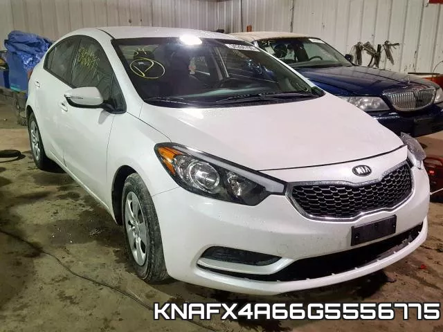 KNAFX4A66G5556775