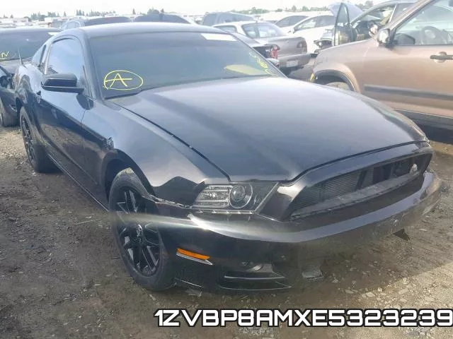 1ZVBP8AMXE5323239