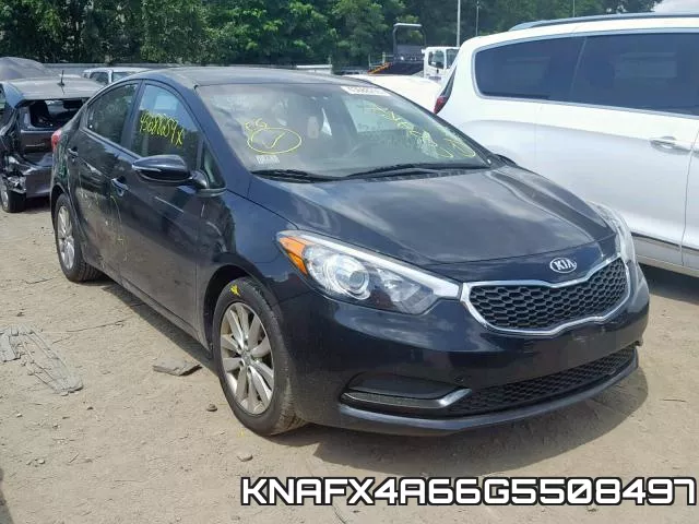 KNAFX4A66G5508497