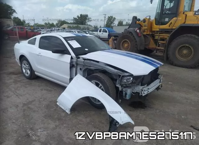 1ZVBP8AM7E5275117