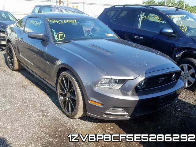 1ZVBP8CF5E5286292