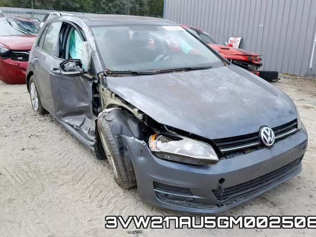 3VW217AU5GM002508