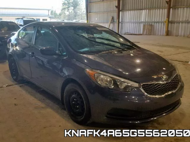 KNAFK4A65G5562050