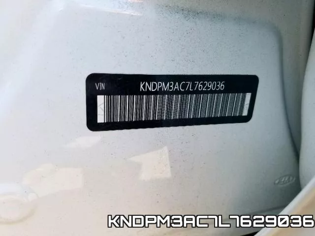 KNDPM3AC7L7629036_10.webp