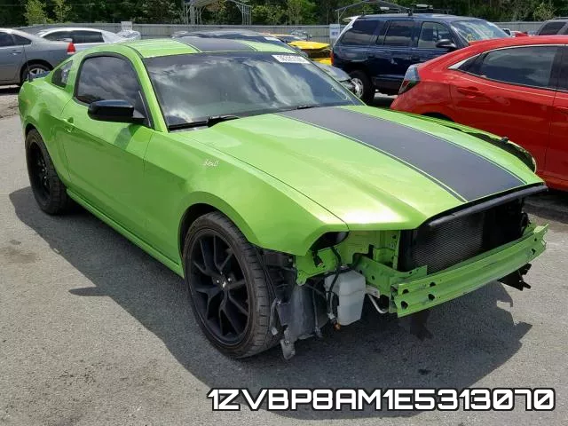 1ZVBP8AM1E5313070