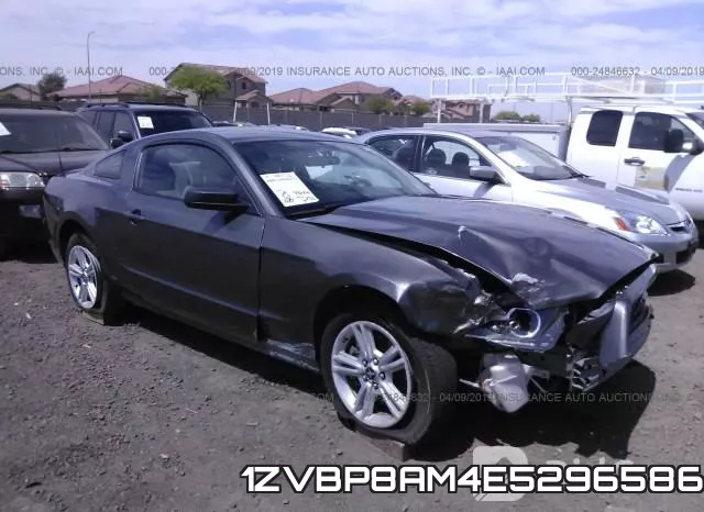 1ZVBP8AM4E5296586