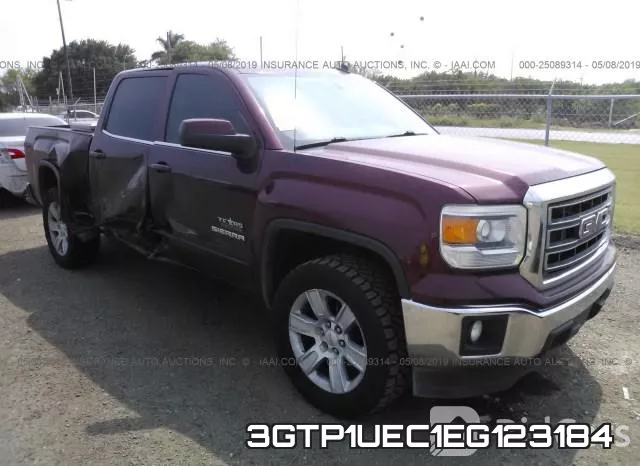 3GTP1UEC1EG123184