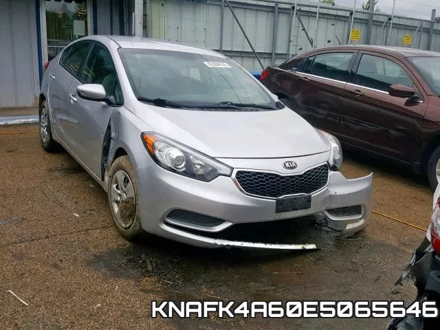 KNAFK4A60E5065646