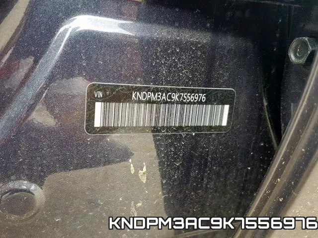 KNDPM3AC9K7556976_10.webp