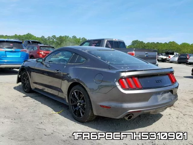 1FA6P8CF7H5310901_3.webp