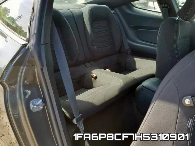 1FA6P8CF7H5310901_6.webp