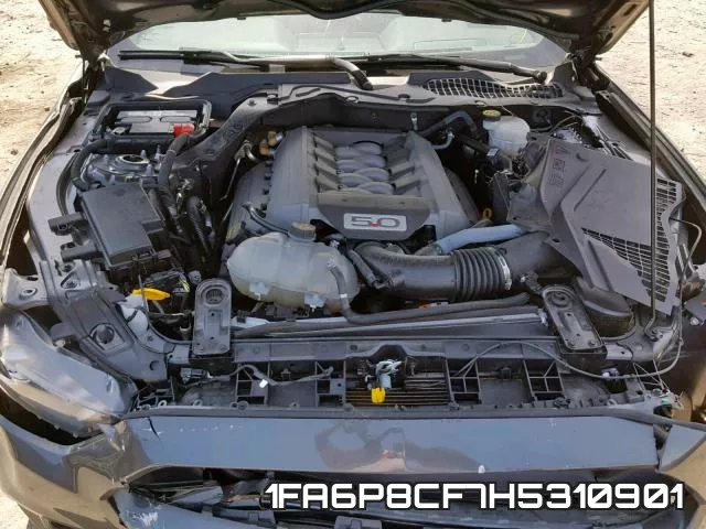 1FA6P8CF7H5310901_7.webp