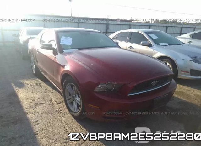 1ZVBP8AM2E5252280