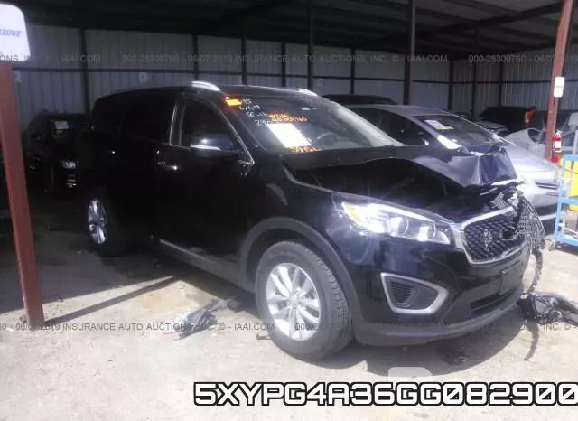 5XYPG4A36GG082900