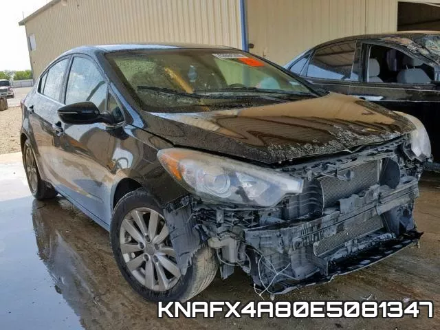 KNAFX4A80E5081347