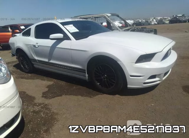 1ZVBP8AM4E5217837