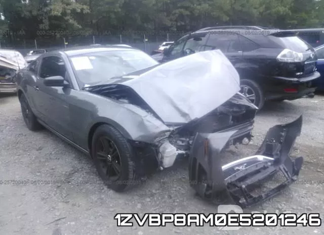 1ZVBP8AM0E5201246