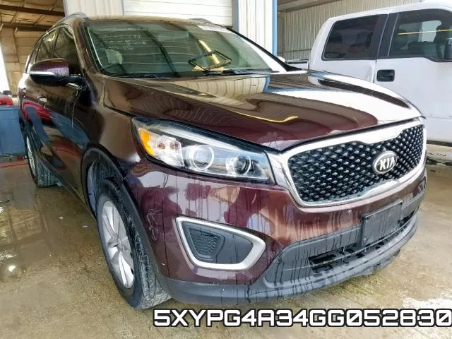 5XYPG4A34GG052830