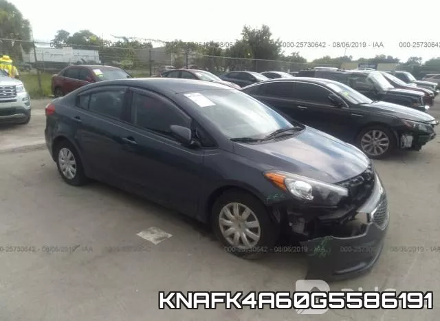 KNAFK4A60G5586191