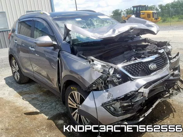 KNDPC3AC7E7562556