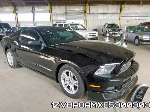 1ZVBP8AMXE5300303