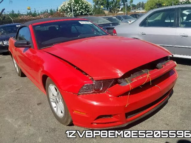 1ZVBP8EM0E5205596