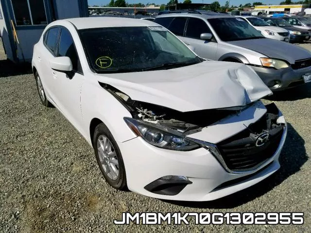 JM1BM1K70G1302955