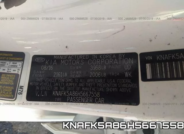 KNAFK5A86H5667558_9.webp