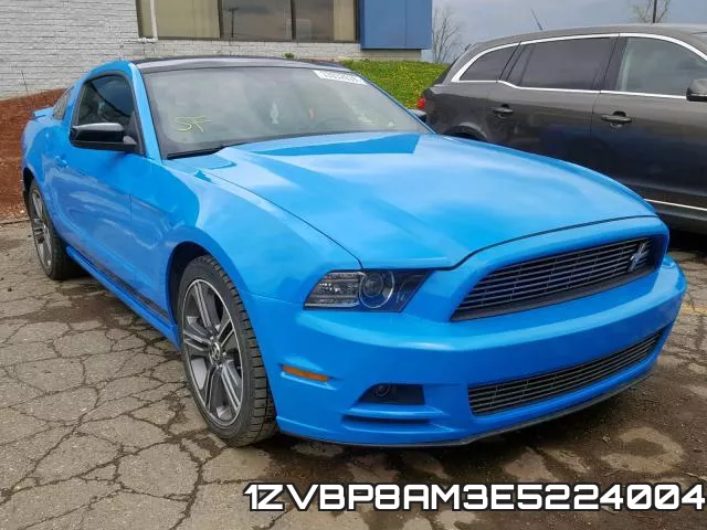 1ZVBP8AM3E5224004